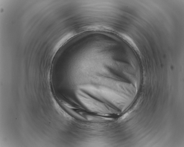 X0000088370946200706191240