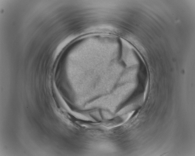 X0000088370960200706191240