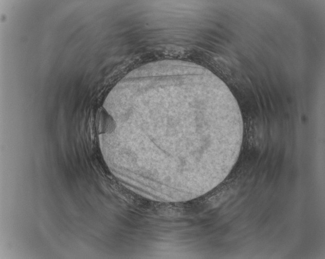 X0000088370962200706191239