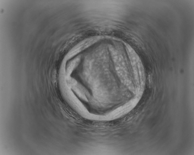 X0000088370963200706191239