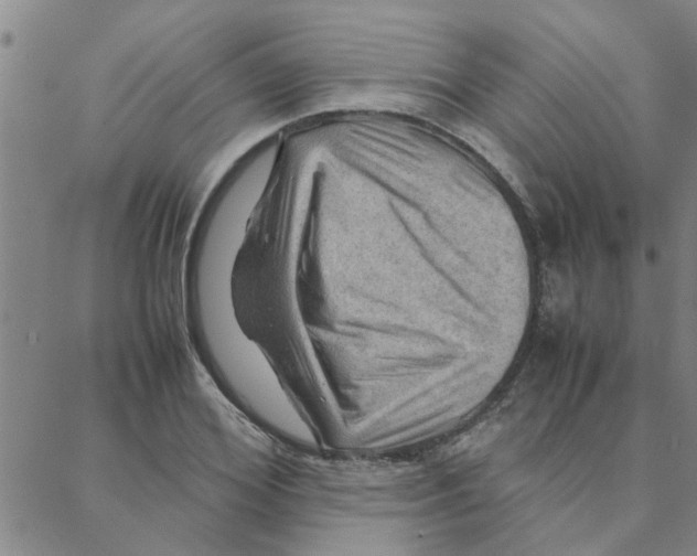 X0000088370980200706191239