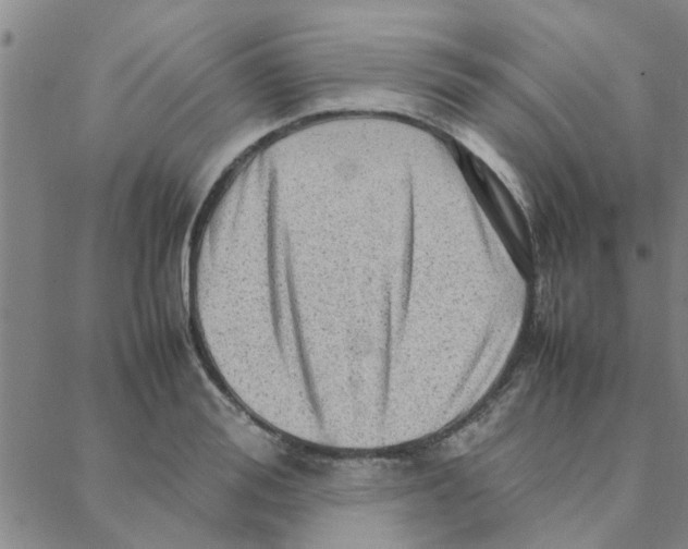 X0000088370988200706191239