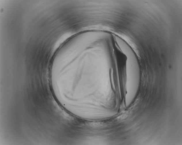 X0000088370998200706191238