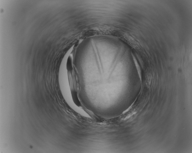 X0000088371010200706191237