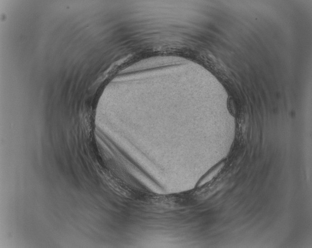 X0000088371012200706191238