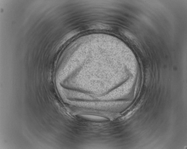 X0000088371017200706191238