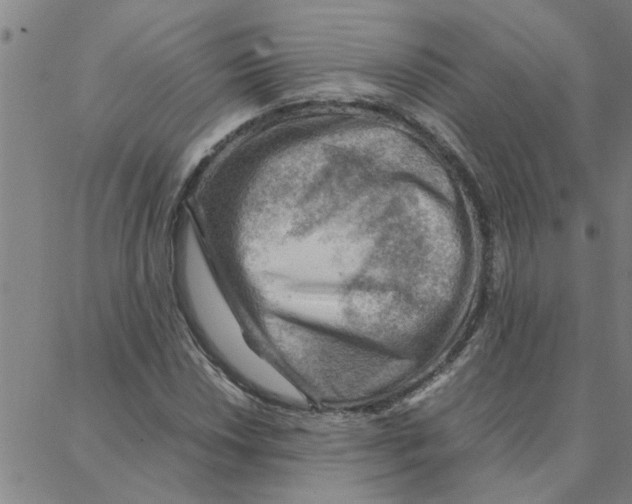 X0000088371018200706191238