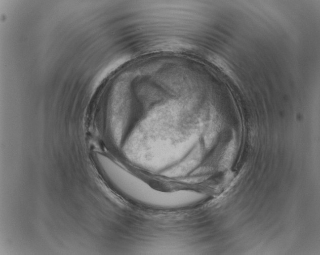 X0000088371026200706191238