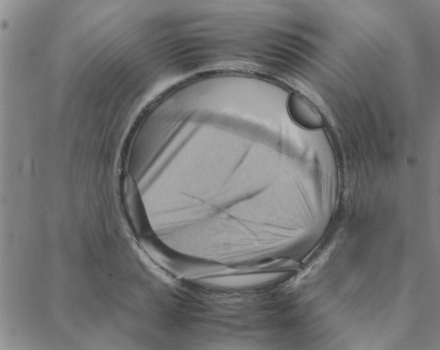 X0000088371037200706191238