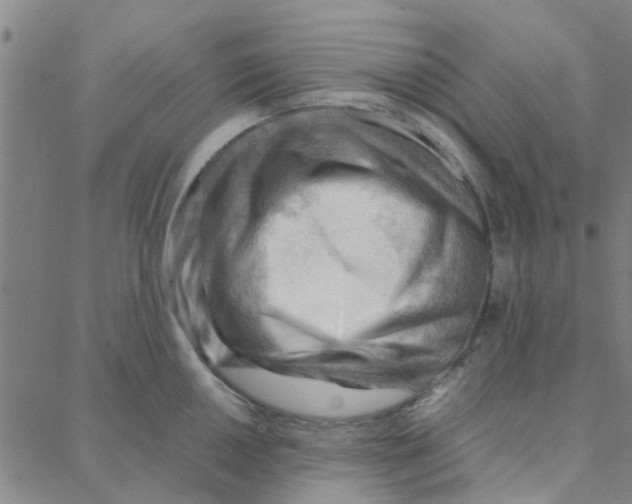 X0000088371050200706191238