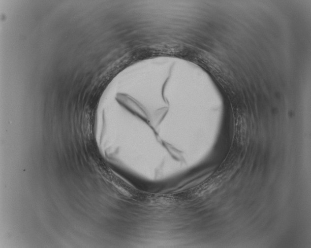 X0000088371058200706191237