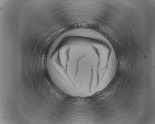 X0000088371060200706191237