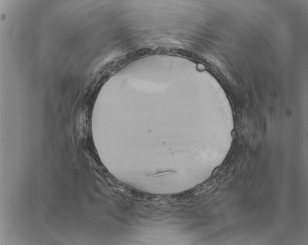 X0000088371063200706191237