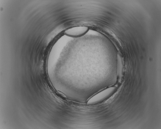 X0000088371066200706191237