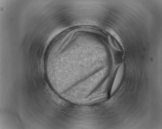 X0000088371072200706191237