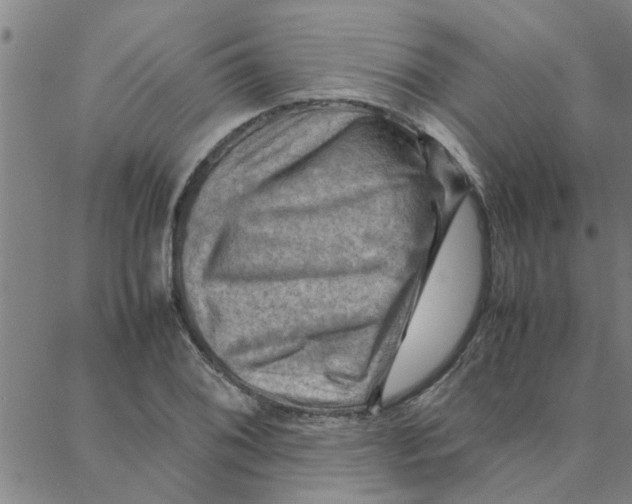 X0000088371076200706191237