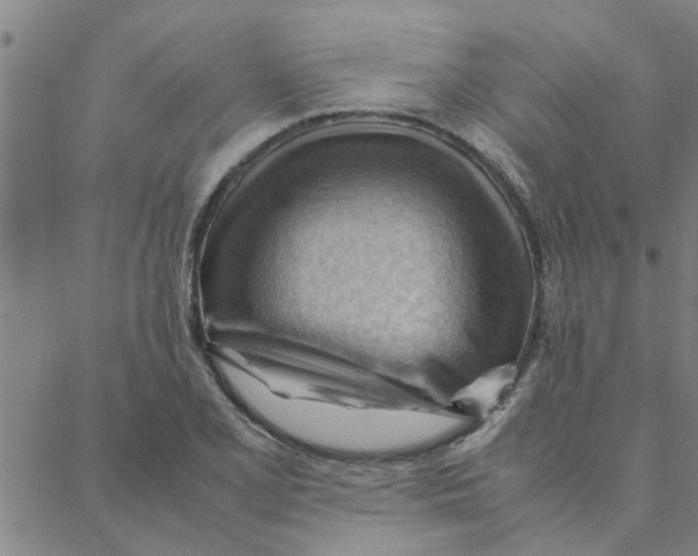 X0000088371077200706191237