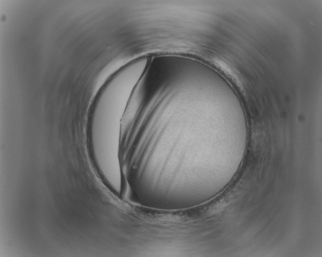 X0000088371085200706191237