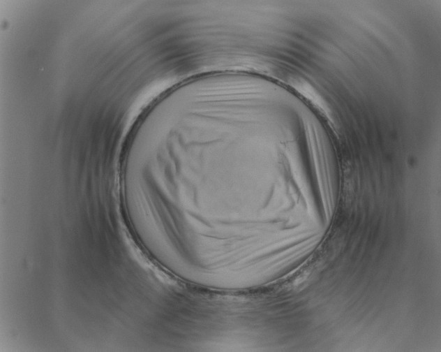 X0000088371088200706191237