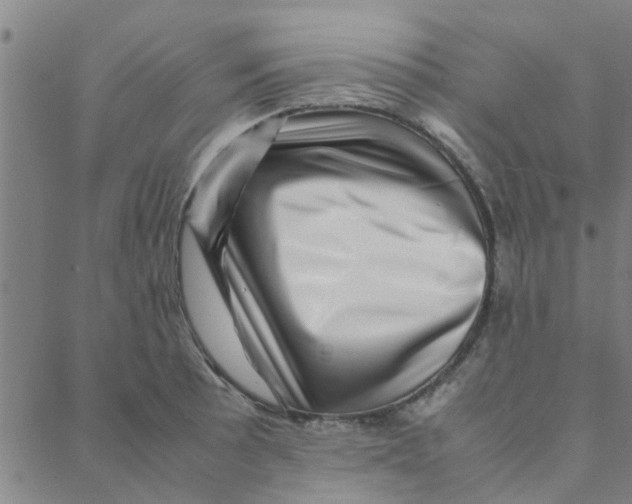 X0000088371089200706191237