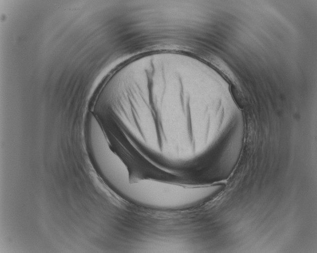 X0000088371132200706191236