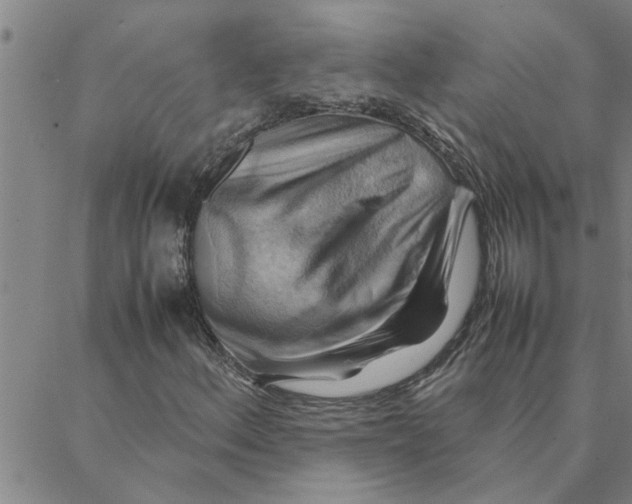 X0000088371156200706191236