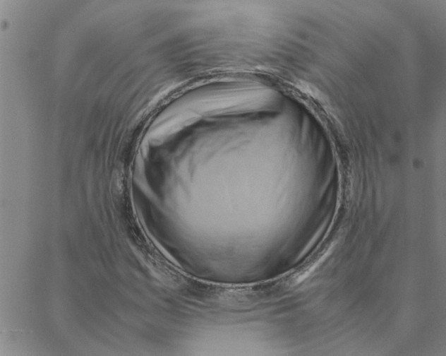 X0000088371161200706191236