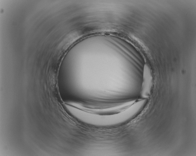 X0000088371169200706191236