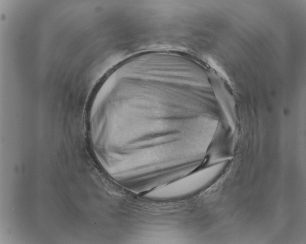 X0000088371173200706191236