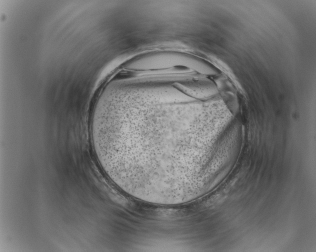 X0000088371176200706191236