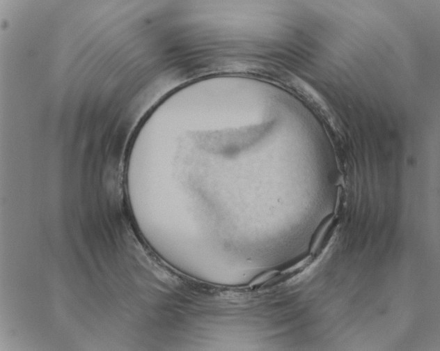 X0000088371178200706191236