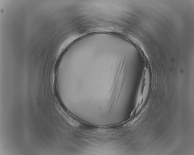 X0000088371179200706191235