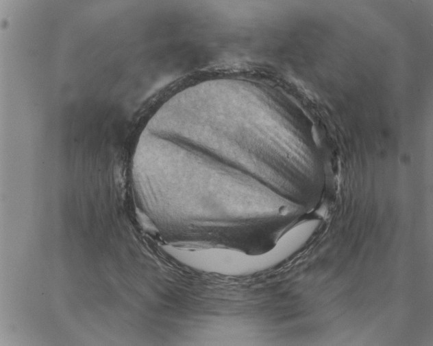X0000088371206200706191234
