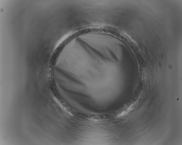 X0000088371208200706191234