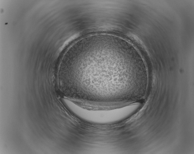 X0000088371210200706191235