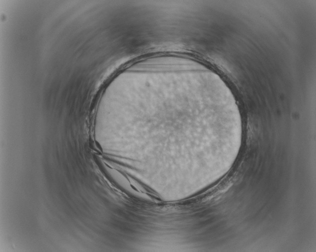 X0000088371212200706191235