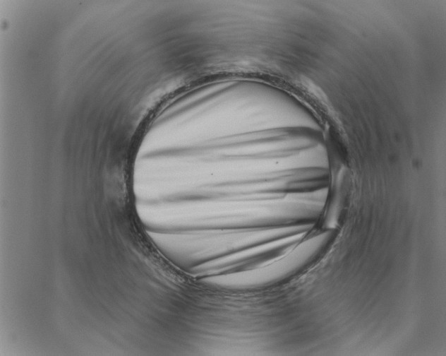 X0000088371218200706191235
