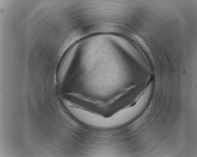 X0000088371226200706191235