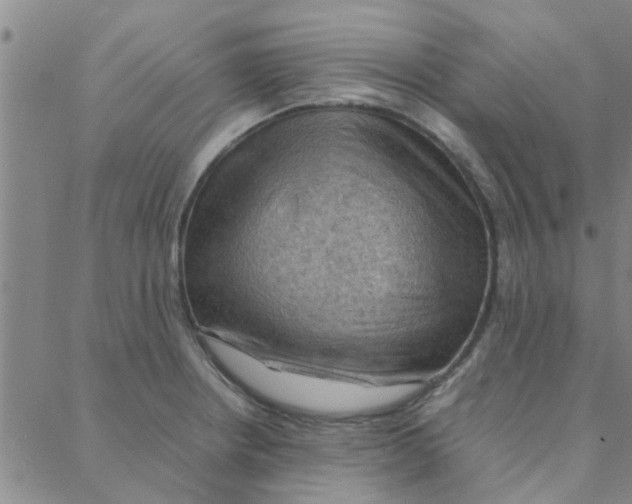 X0000088371234200706191235