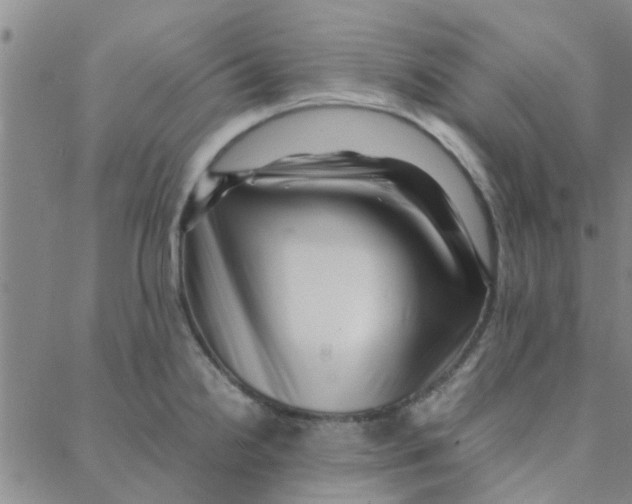 X0000088371238200706191235