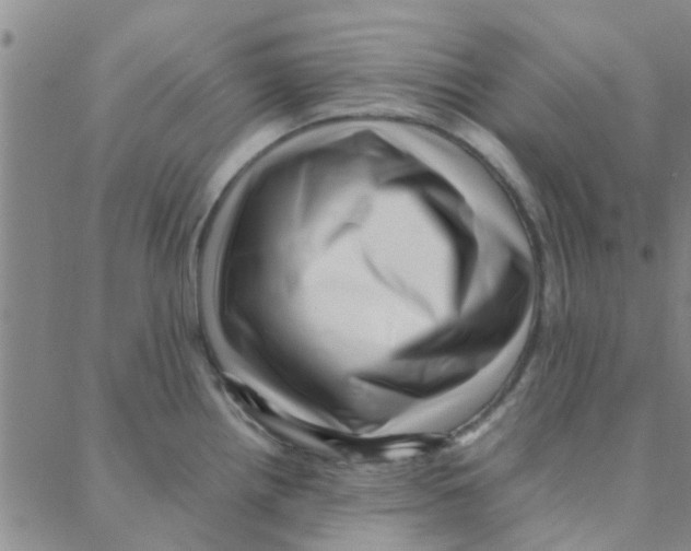 X0000088371242200706191235