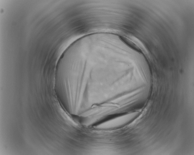 X0000088371244200706191235