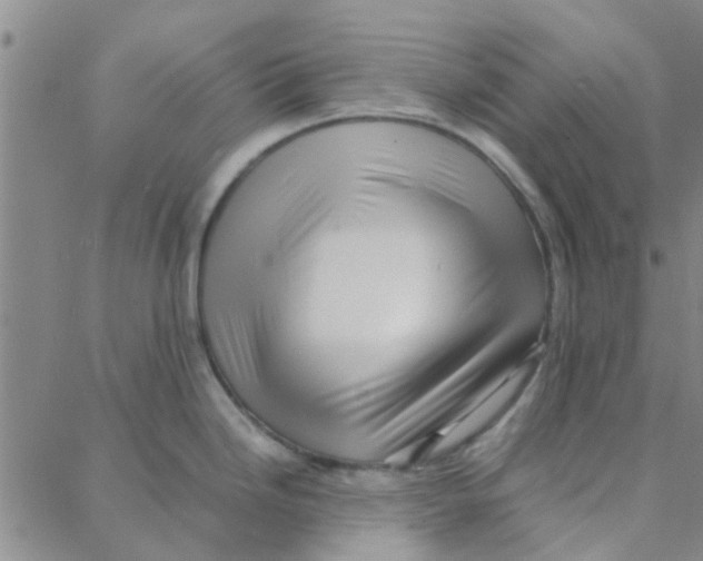 X0000088371246200706191235