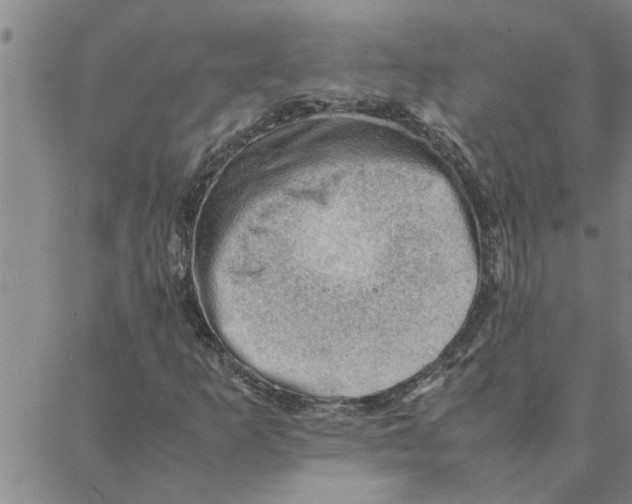 X0000088371253200706191234