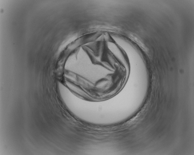 X0000088371261200706191234