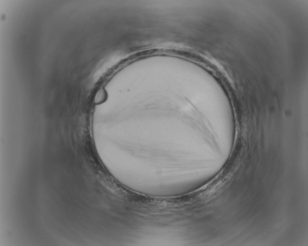 X0000088371263200706191234