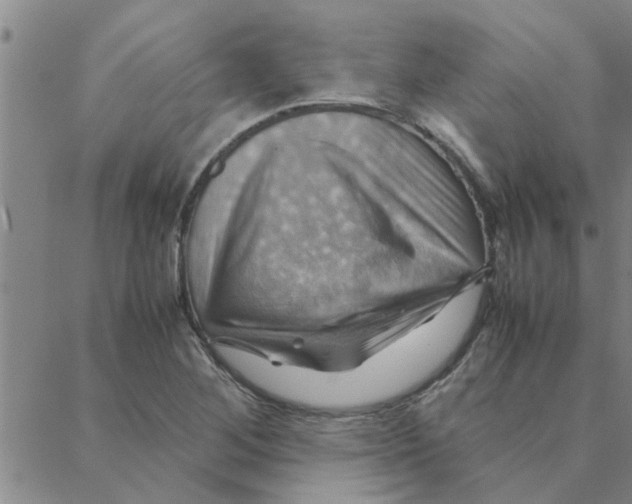 X0000088371268200706191234