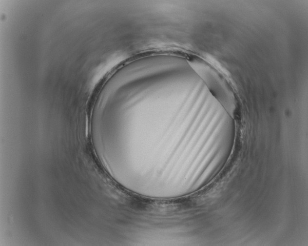 X0000088371269200706191234