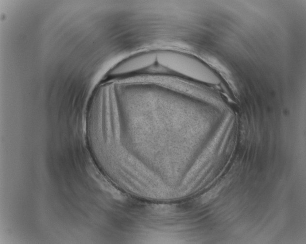 X0000088371280200706191234
