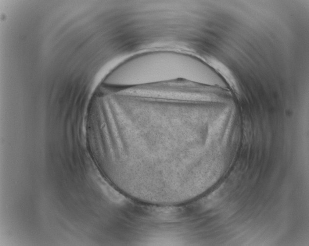 X0000088371288200706191234